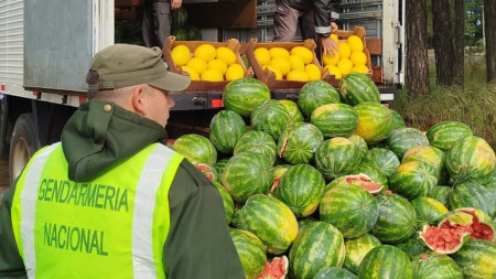 Corrientes: incautaron casi 9 toneladas de sandías y melones sin control sanitario obligatorio